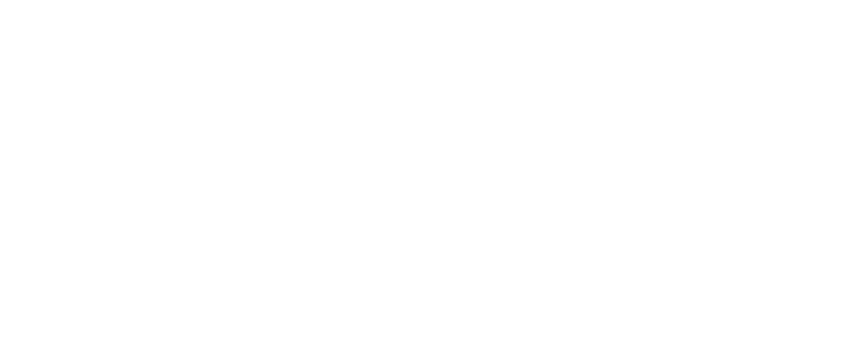 BS Asset Logo
